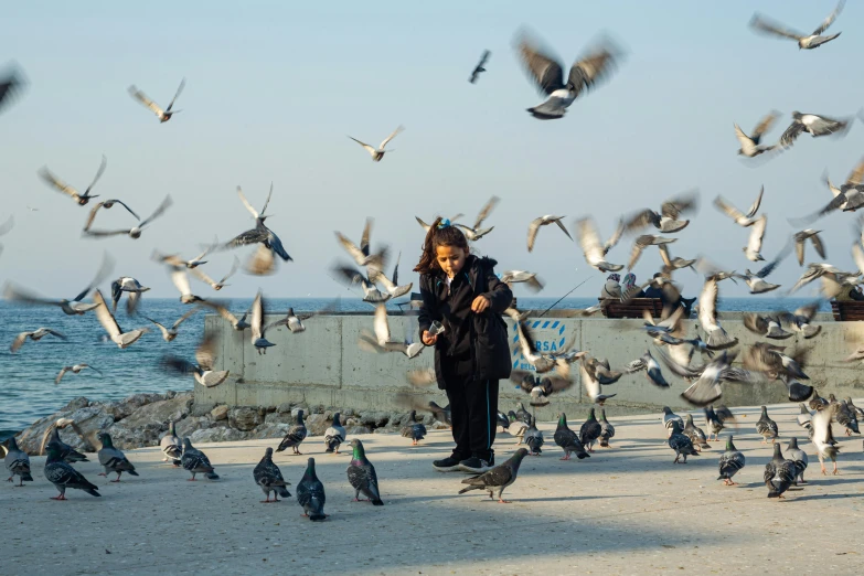 a person is walking near a flock of birds