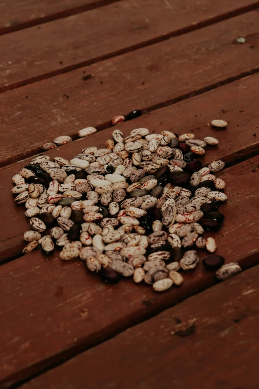 many different grains that are on a table