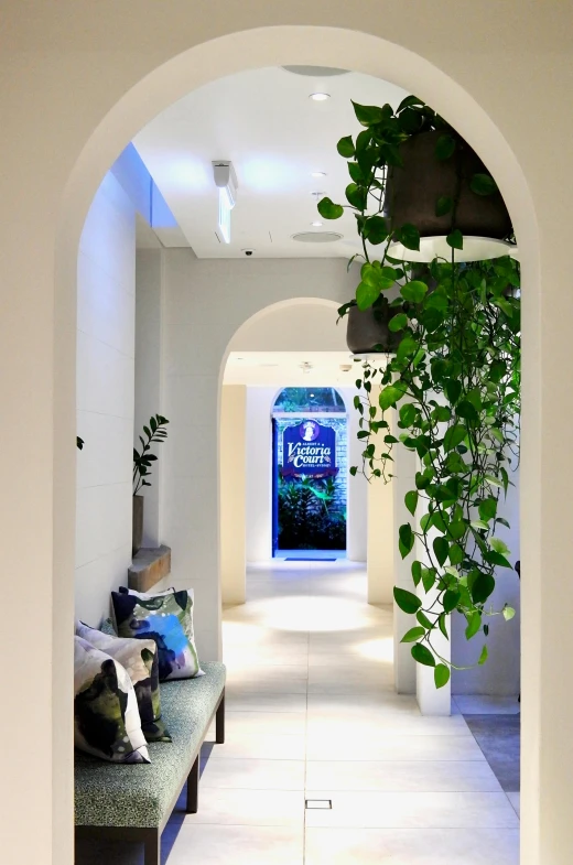 a white room with a large archway filled with plants