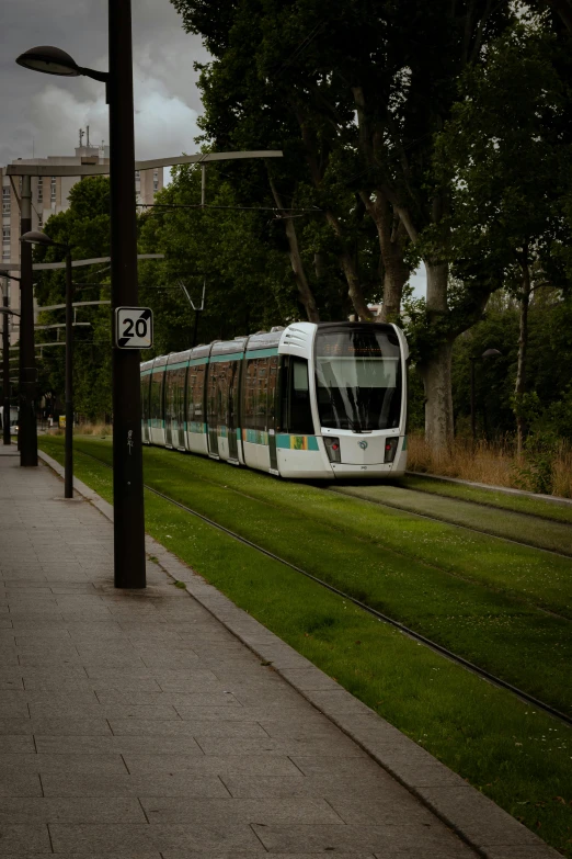 a long white train on a track near the trees