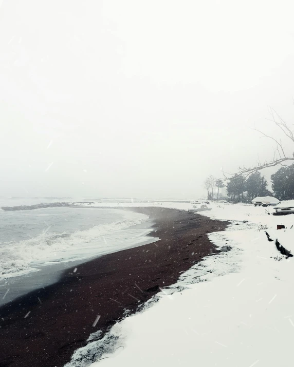 snow on the ground near the water with trees in it