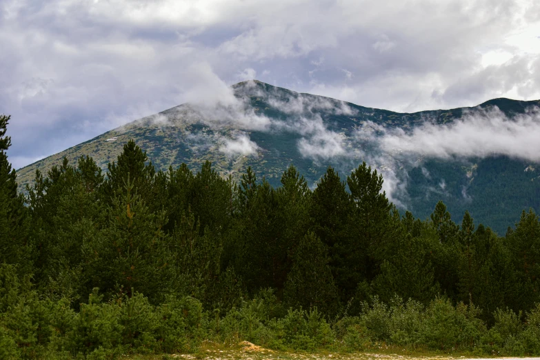 mountains in the clouds and some grass