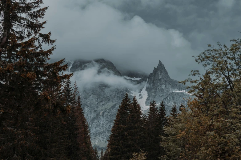 the mountains are covered in thick clouds and the trees are green