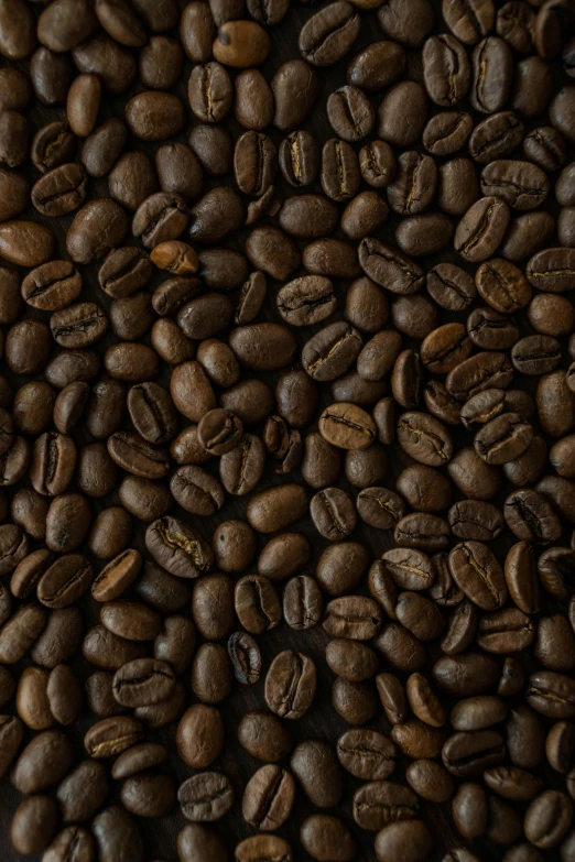 some coffee beans are on the ground