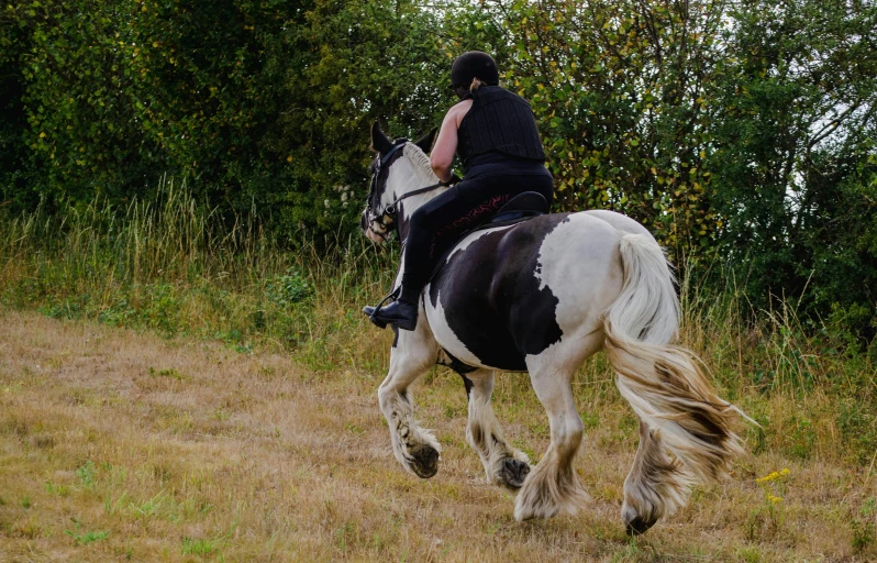 woman riding a horse while using a saddle