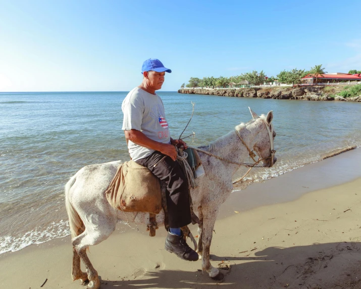 a man riding a horse on top of a beach next to the ocean