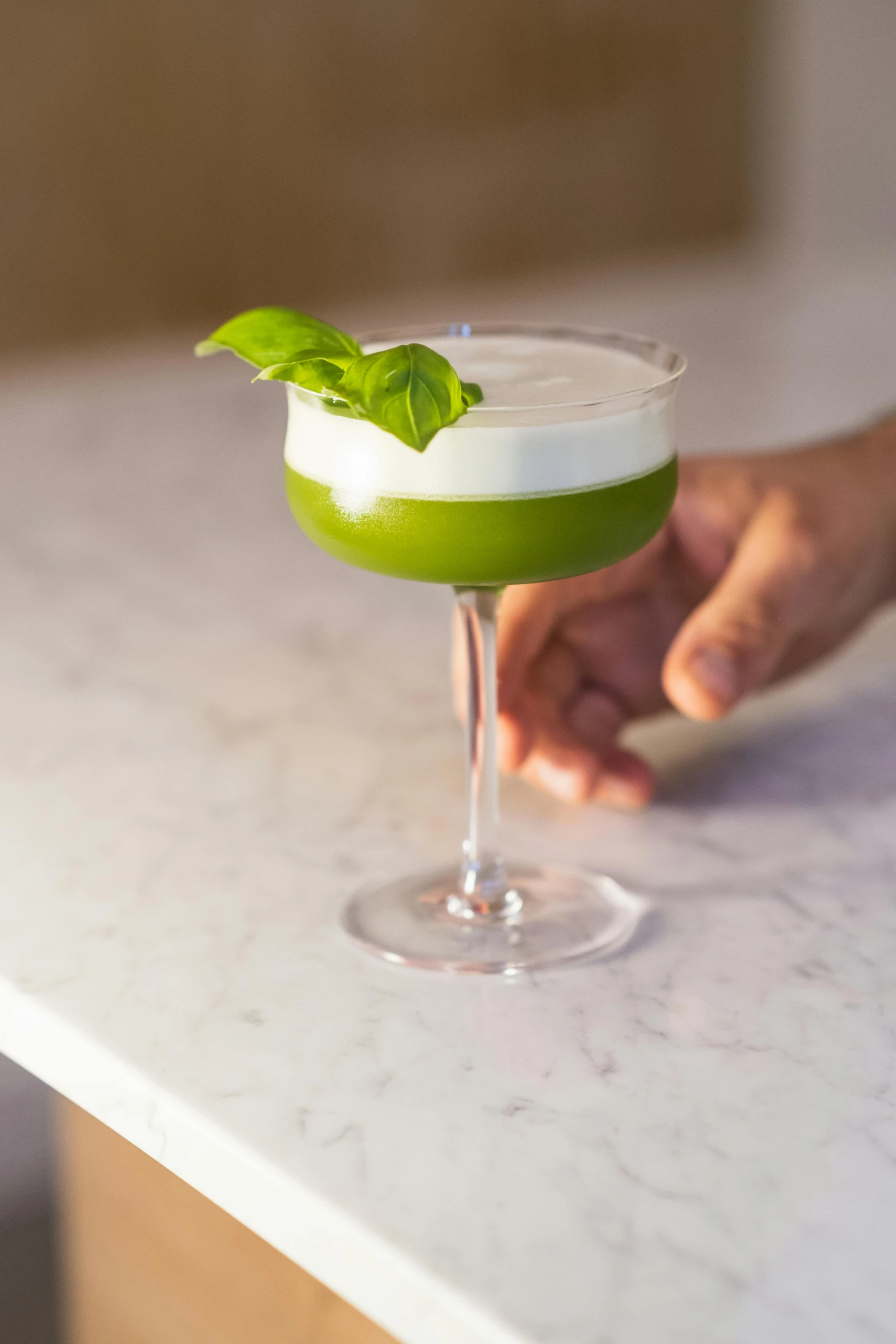 a hand holds a small cocktail with basil garnish