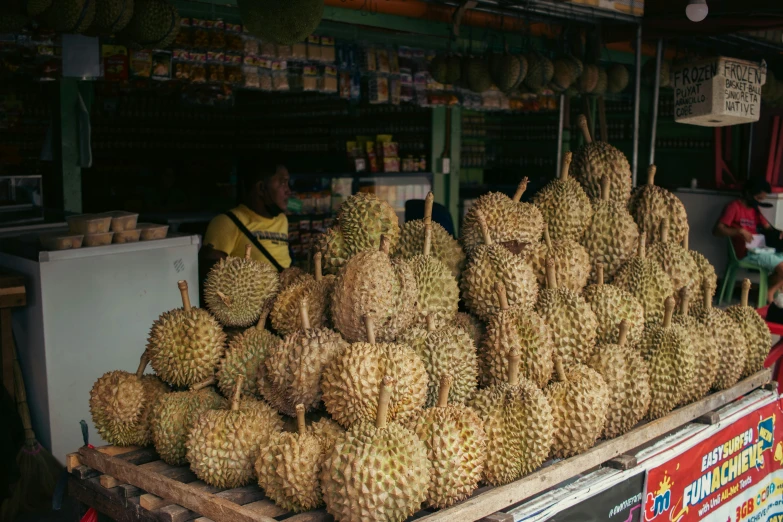 the fresh durian is cut into large pieces