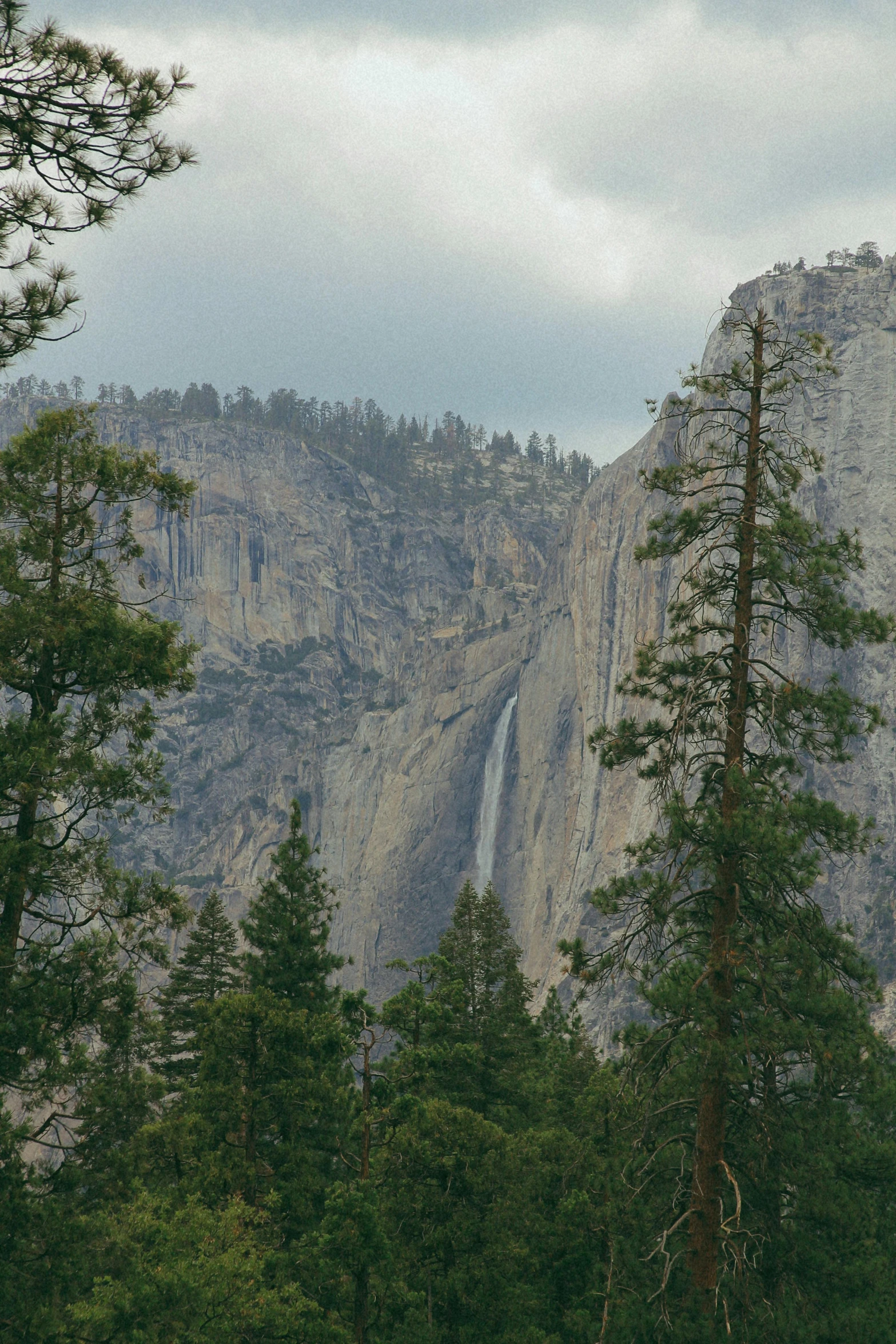 the trees and waterfall below in the mountains