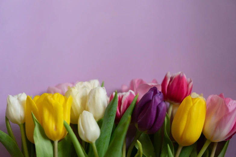 a bunch of tulips sit in a vase