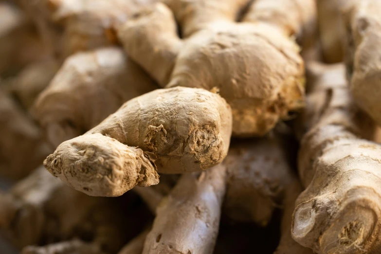 a close up view of the rootlets of some type of vegetable