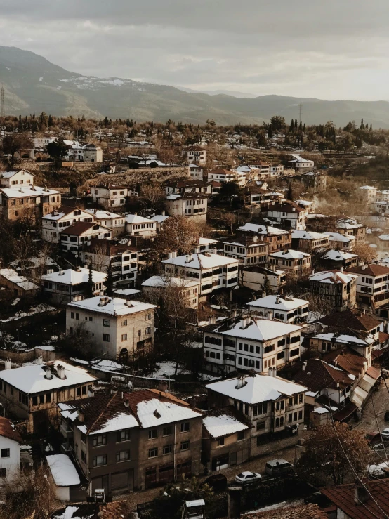 an overview of several buildings and trees in winter