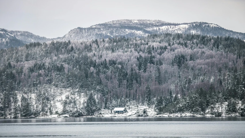 mountains, water and snow are surrounding an area with pine trees