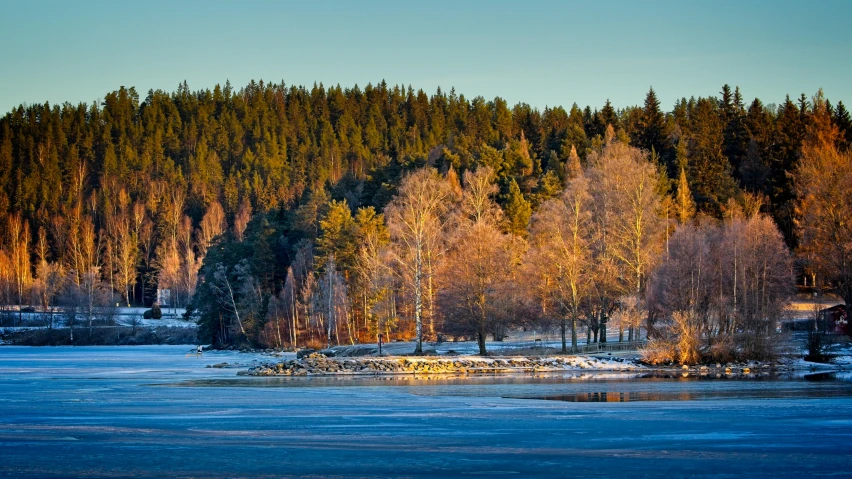 snow covered river with frozen water near trees