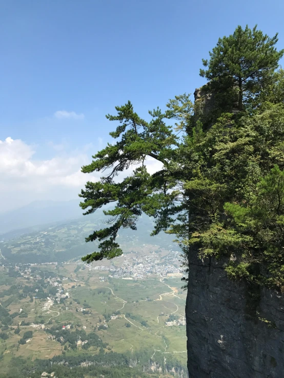 a mountain view with lots of trees in the foreground and some buildings on either side