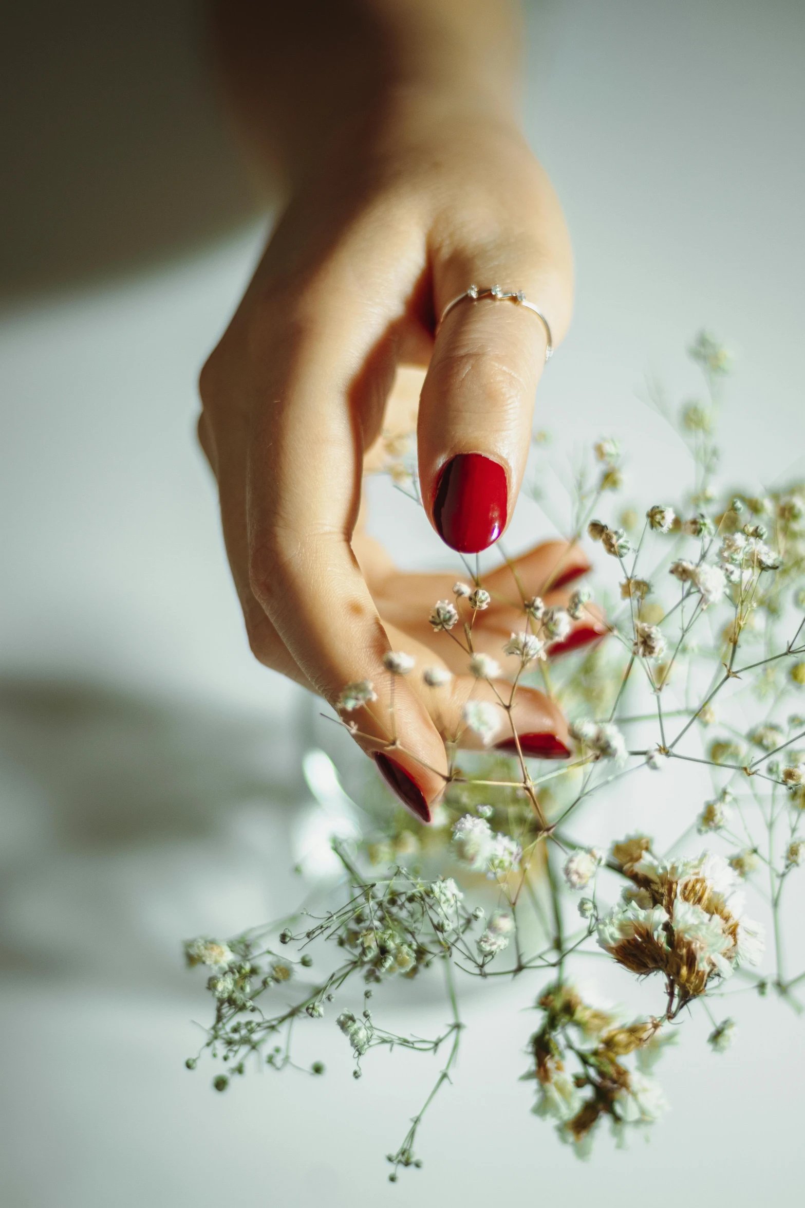 a hand holding flowers in front of the viewer