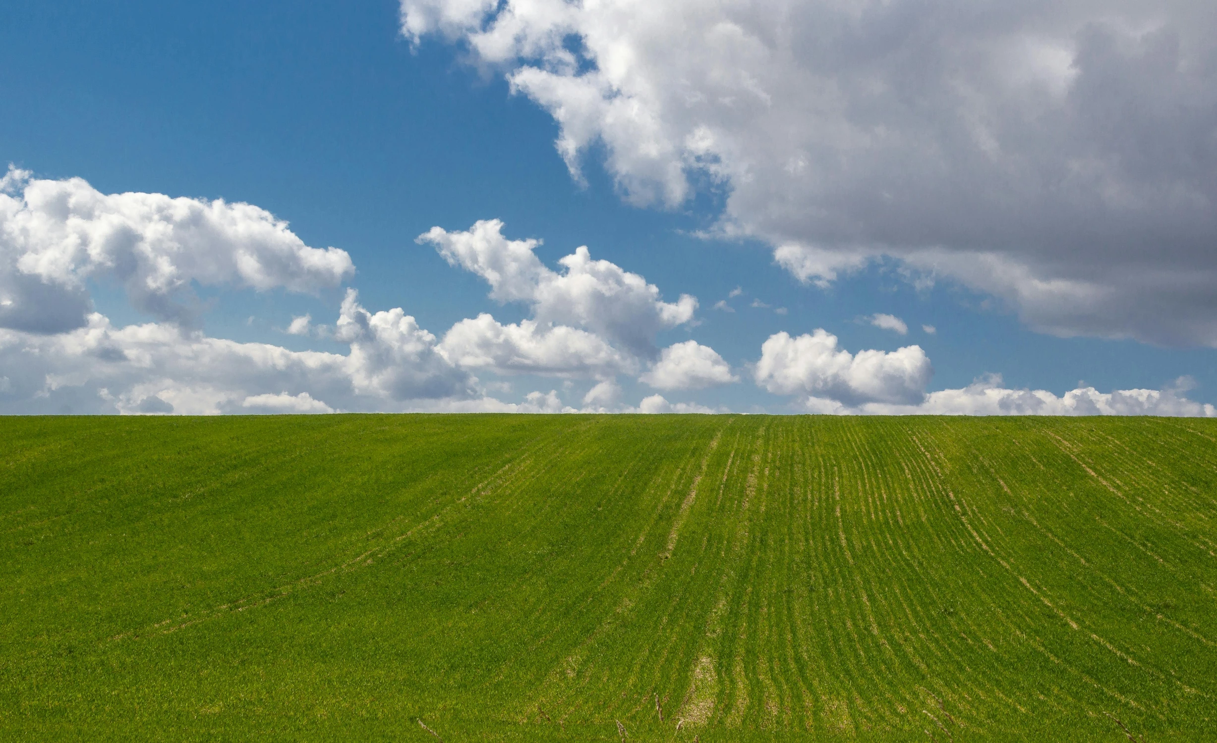 a green field with white clouds in the background