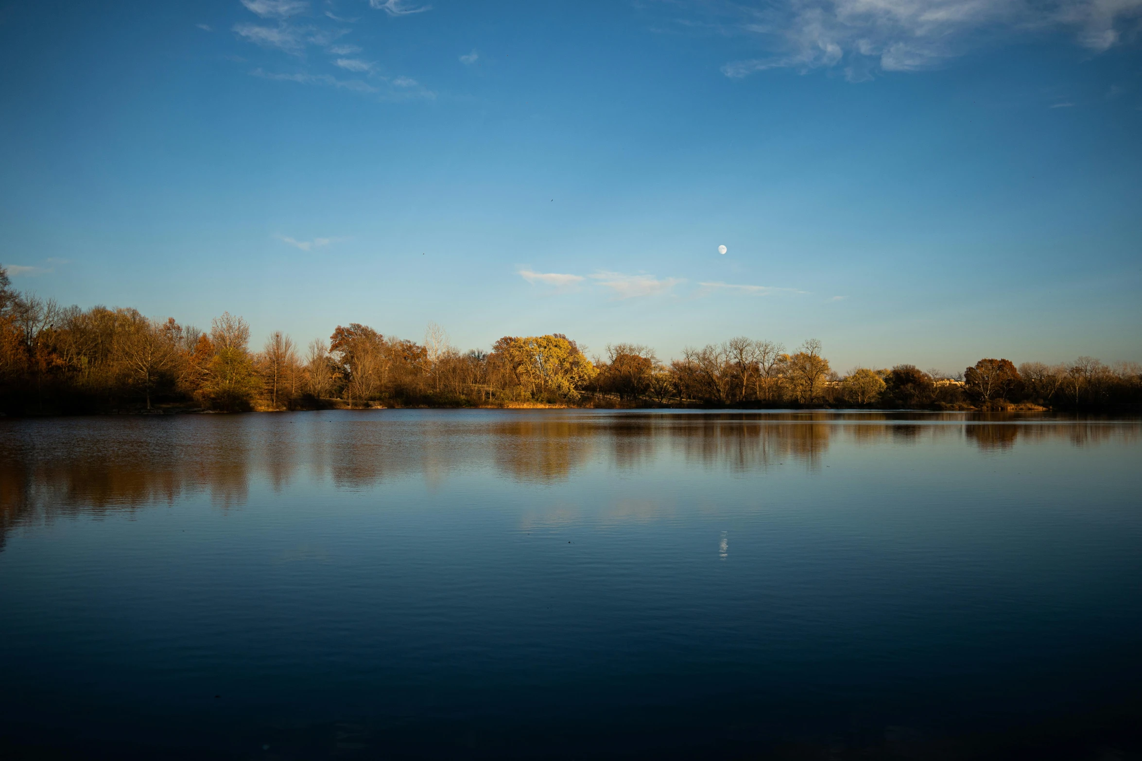 the sky is blue, but it is still sunny in the lake