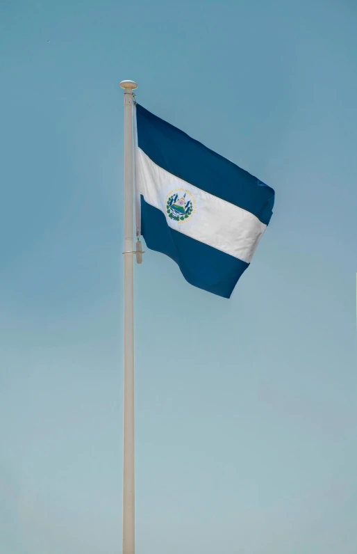 a blue and white flag waving from a pole