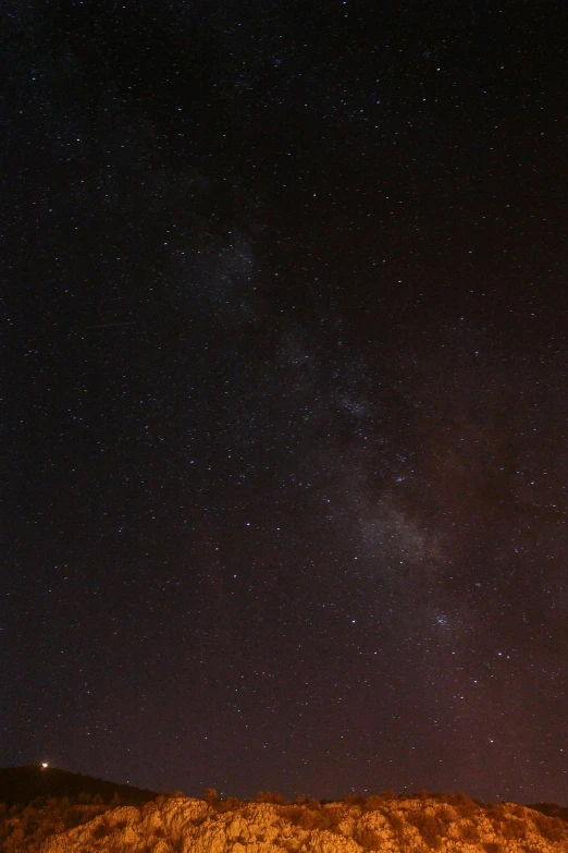 some stars are seen above the tree line