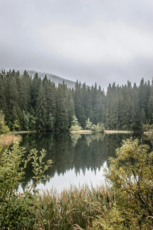 an area that is surrounded by a body of water and some trees