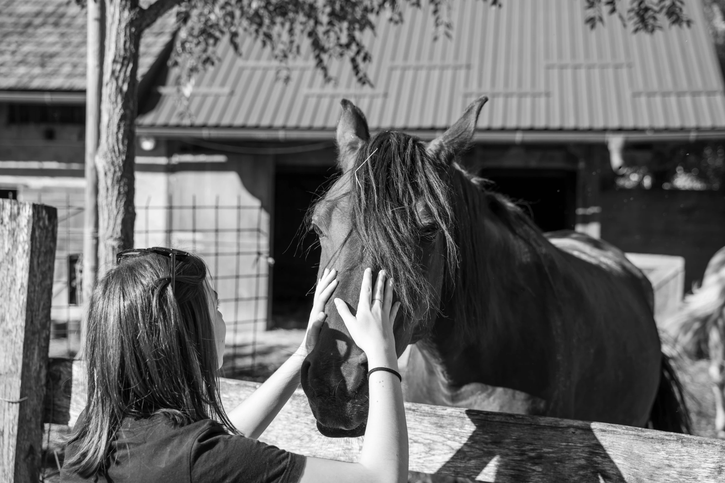 the woman is petting a horse in the pen