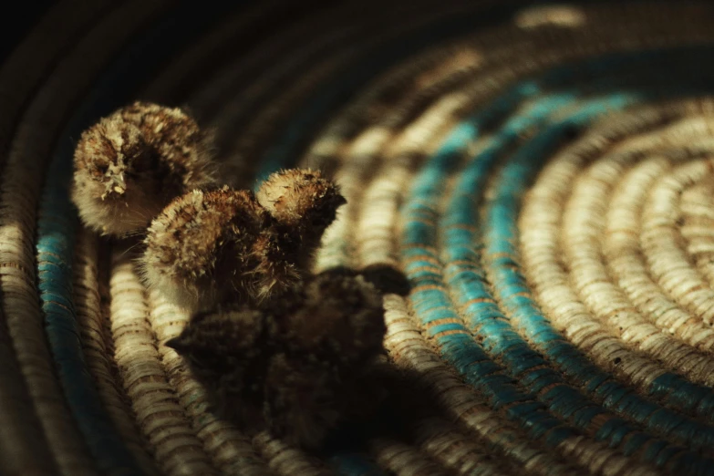 two small stuffed animals inside of a coiled basket