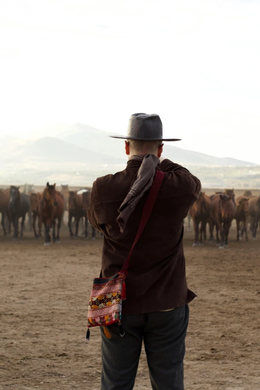 a man with a hat is looking at a herd of cattle