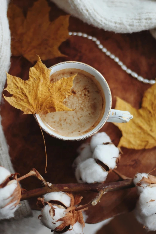 a close up of a cup of  chocolate