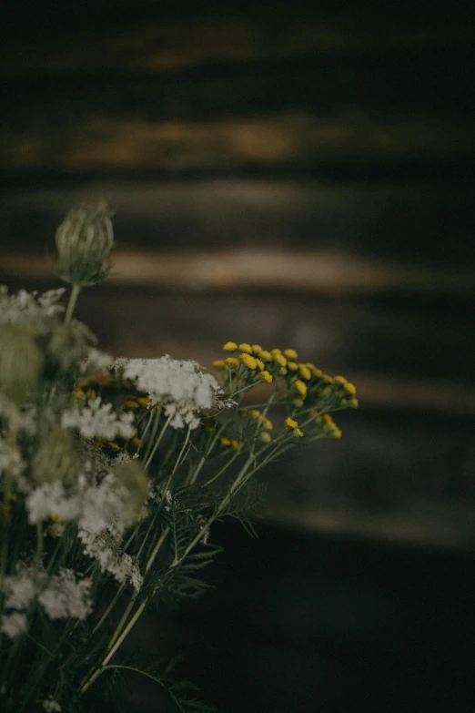 a bouquet of flowers with yellow and white flowers