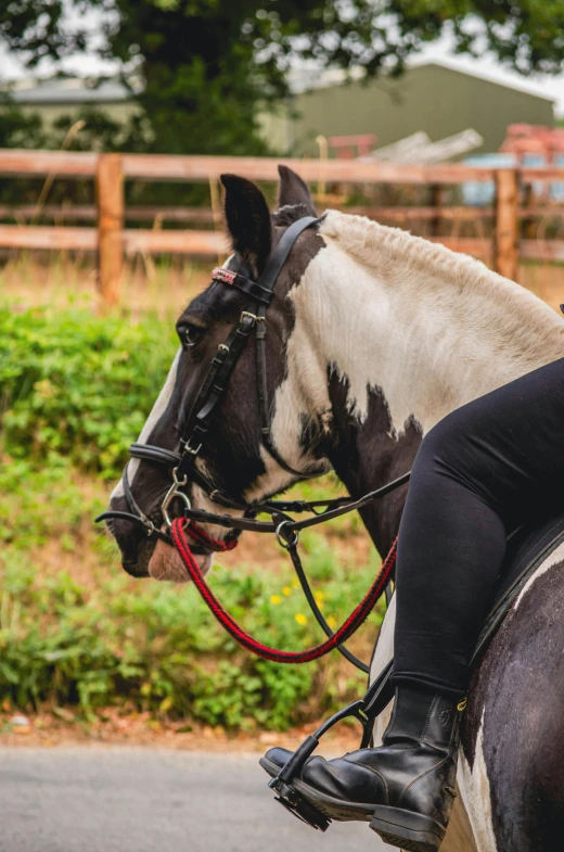 a horse and its rider with black and white paint is pictured