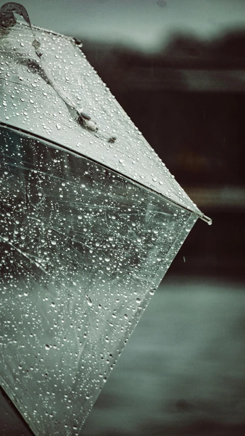 a closeup of a rain covered umbrella in black and white