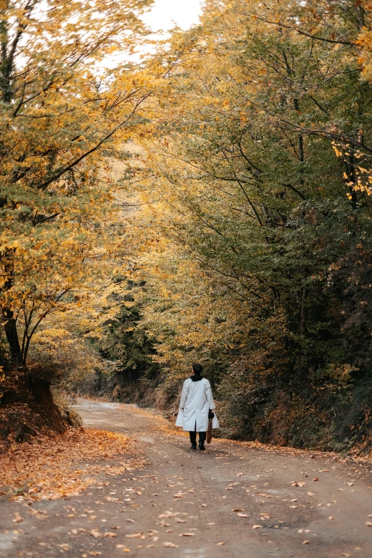 a woman carrying luggage and a brown handbag walking down a dirt road covered in leaves