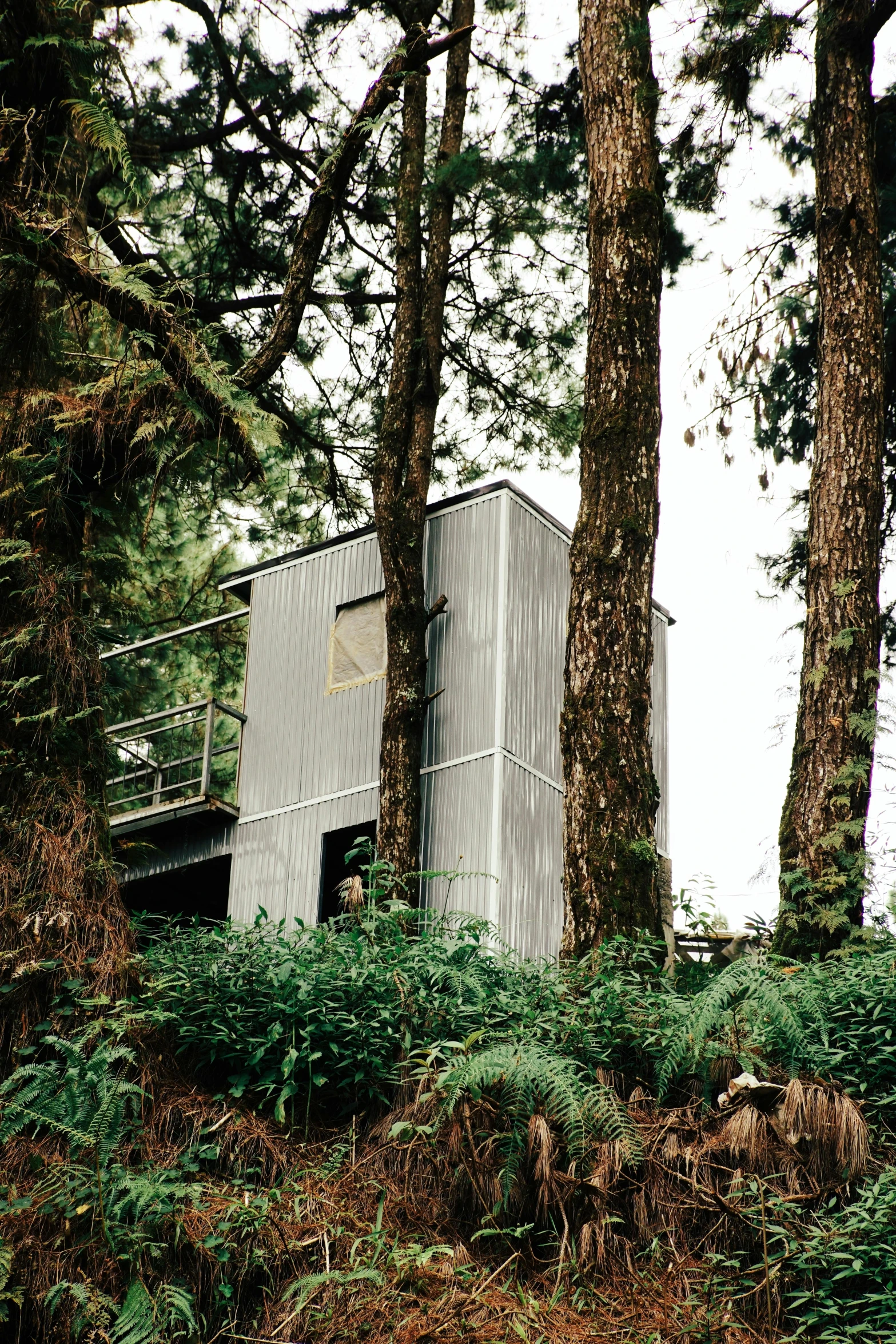 the building is situated on a large hill among the trees