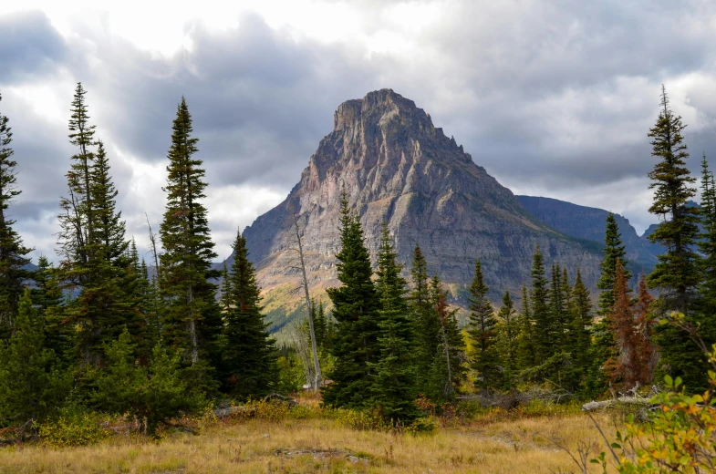 the tall trees are visible against the mountain