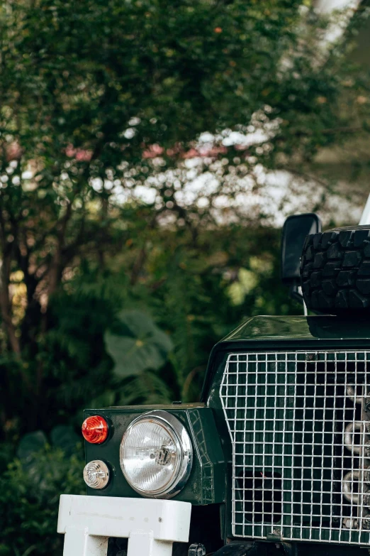 a vintage jeep with a grill design is sitting by some trees