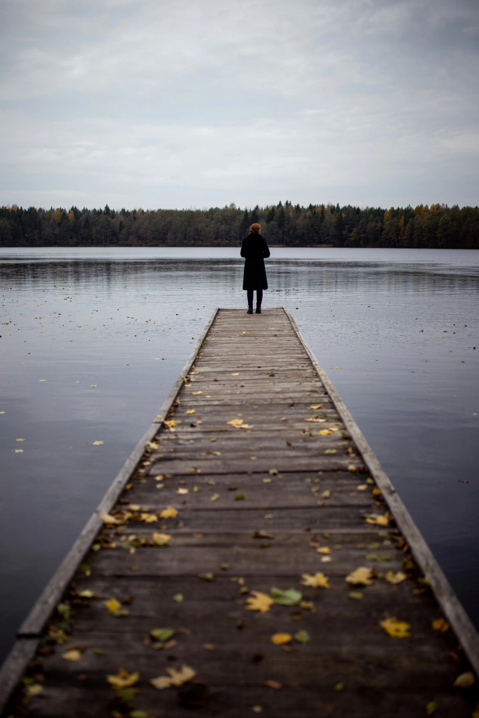 a person stands at the end of a dock