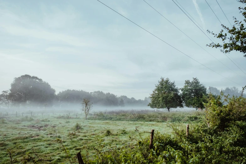 a field with many trees on the other side