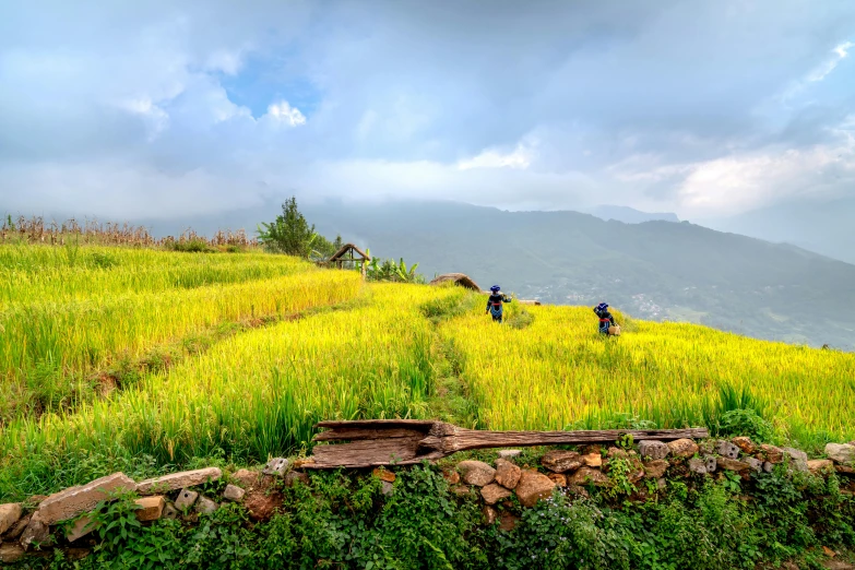 people walking along a grassy field on a cloudy day