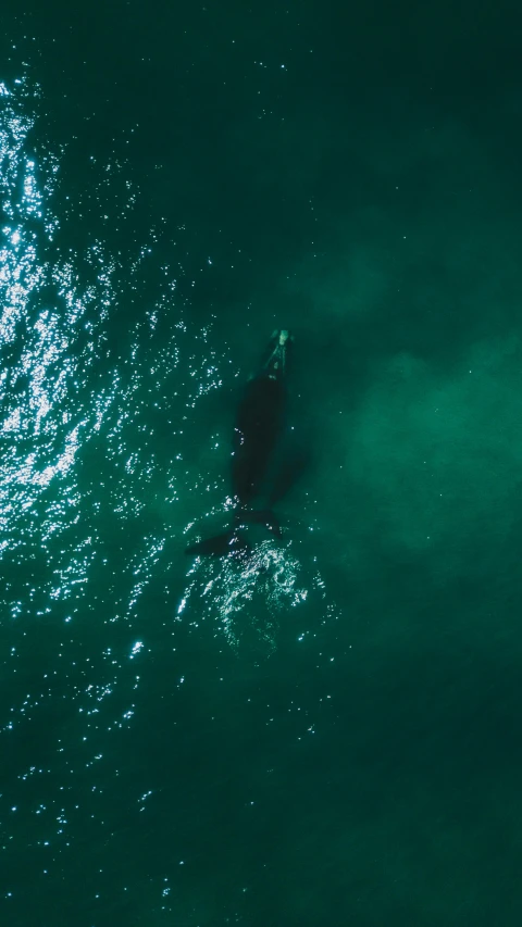 an aerial po shows the green hues of the water as the top half of a surfboard floats away