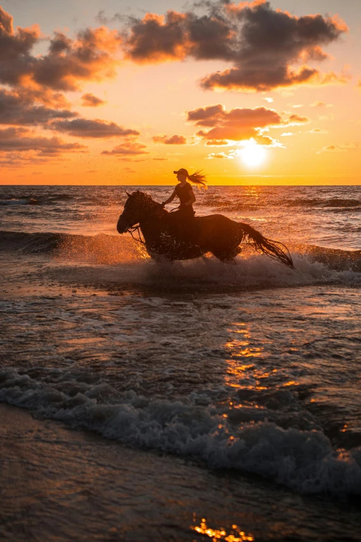 the rider rides her horse in the ocean at sunset