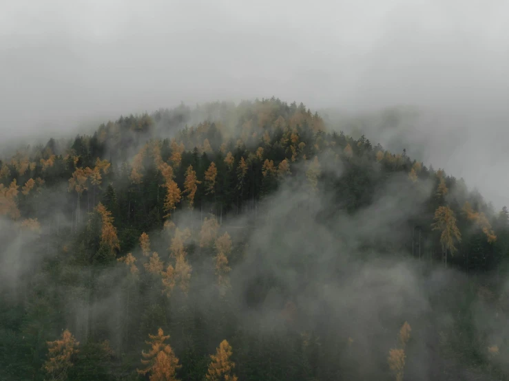 there is mist on the mountain top with trees