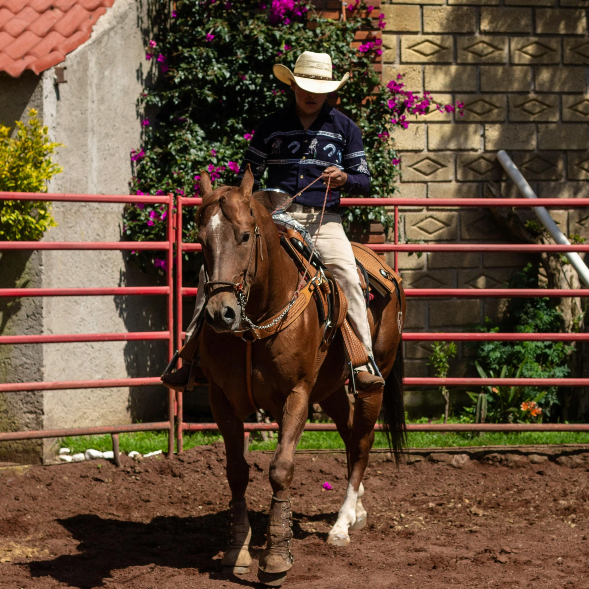 a man rides on the back of a horse