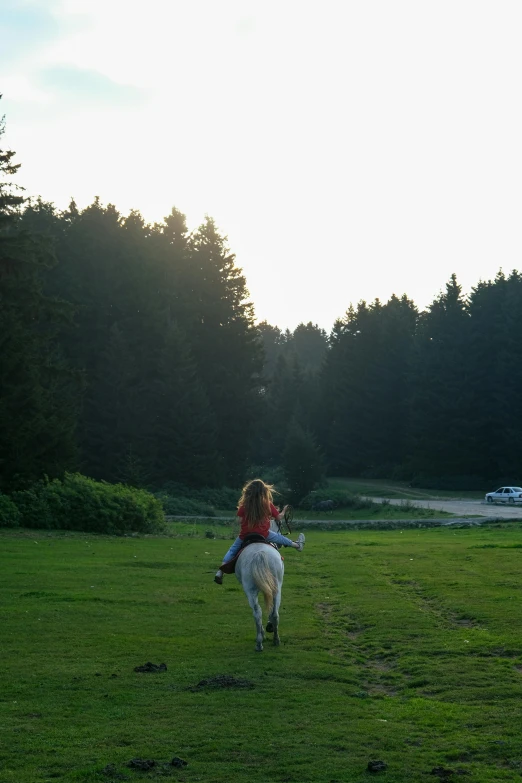 two people riding horses in a field with trees in the background