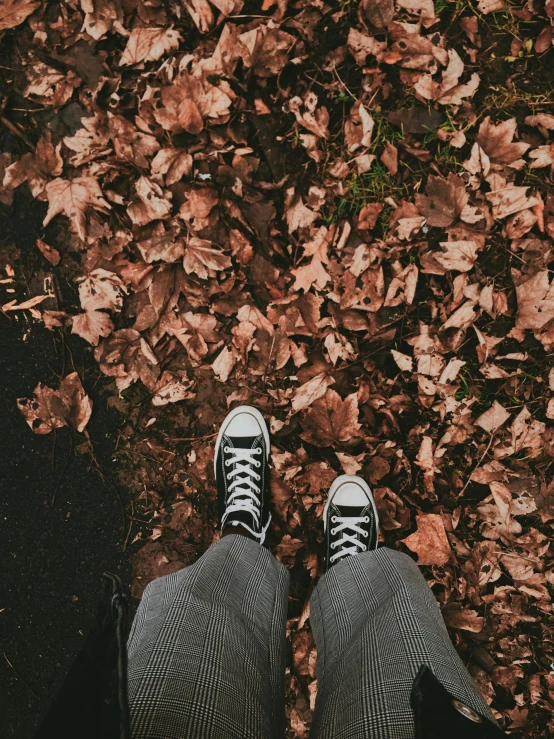 the bottom of a man in black checkered pants and sneakers standing on some leaves