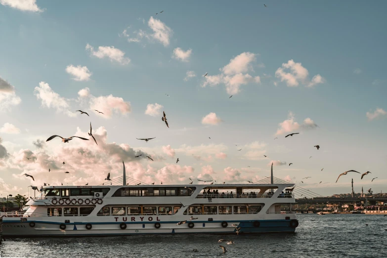 a boat sailing in the water surrounded by birds