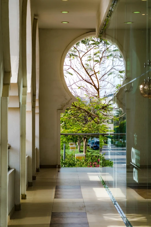 large arched window overlooking a green yard with a bench