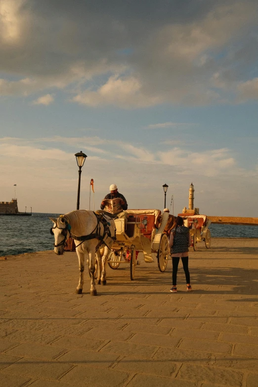 there is a horse drawn carriage on the beach