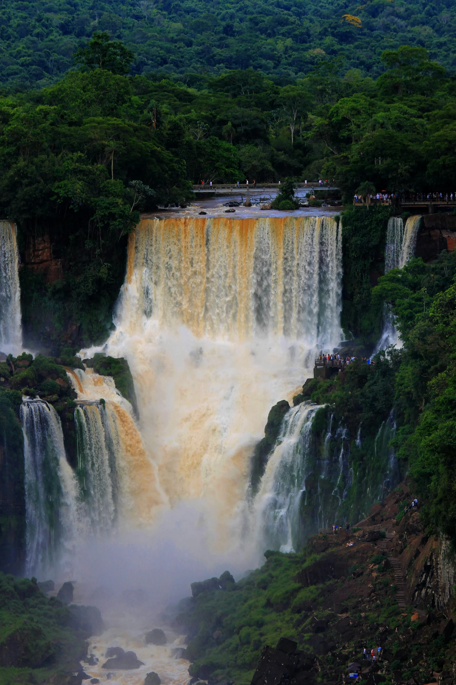iguana falls are shown surrounded by lush vegetation