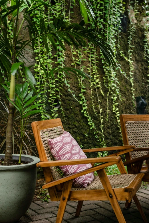 a pair of chairs in the shade with plants in the back